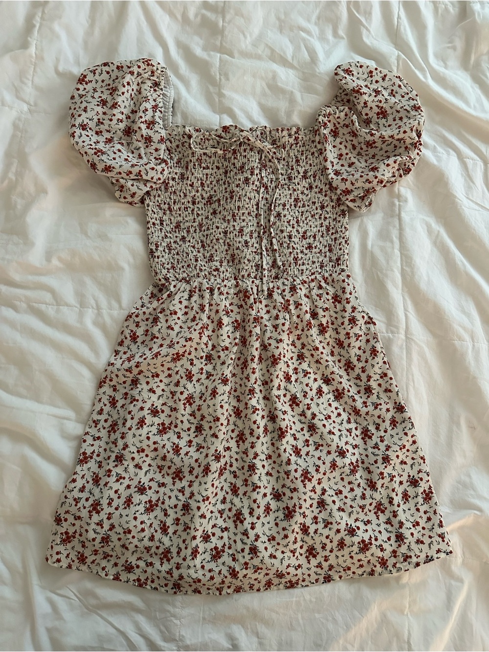 Francesca's Collections Cream Mini Dress with Red Floral Print